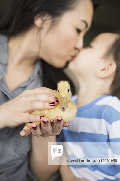 Woman holding a yellow duckling in her hands  kissing her young son.