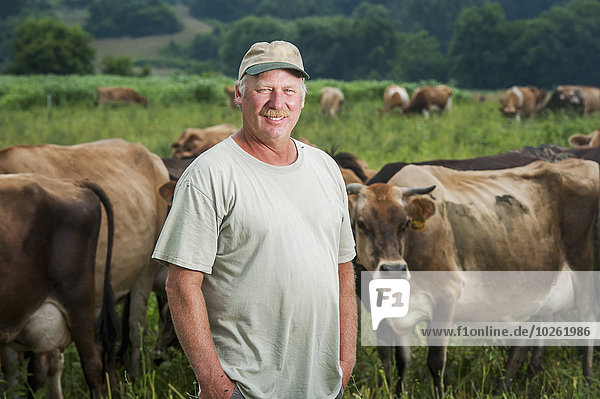 Farmer with dairy cows; Long Green  Maryland  United States of America