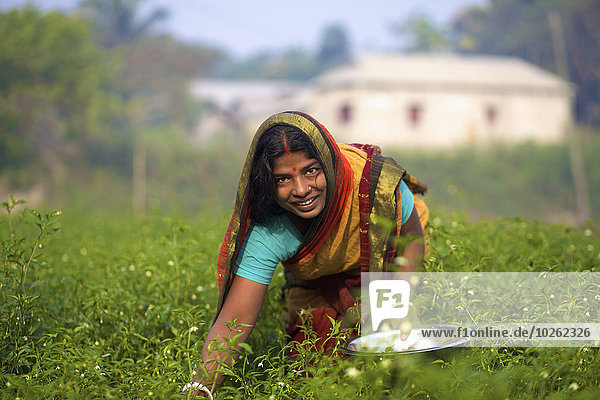 Woman picking vegetables; Kishoreganj  Bangladesh