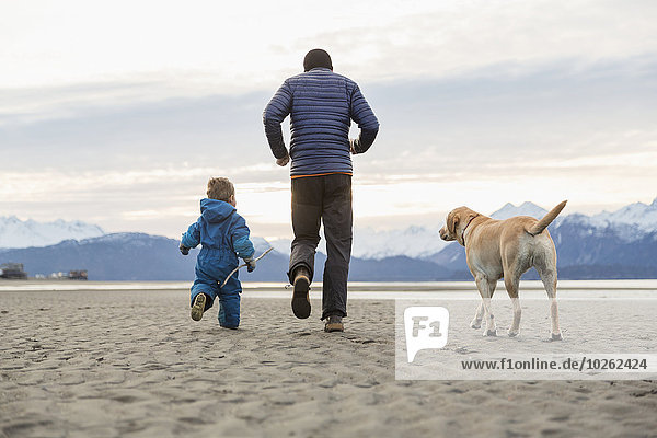 Strand Menschlicher Vater Sohn Spiel Kenai-Fjords-Nationalpark Kenai-Halbinsel