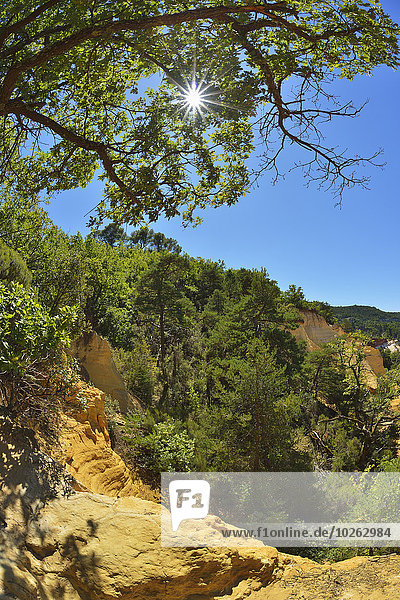 Frankreich Sommer Provence - Alpes-Cote d Azur Ockerberge Sonne Vaucluse