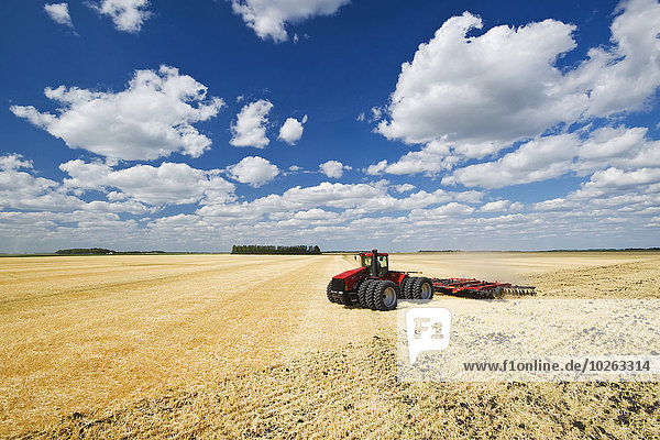 A tractor pulling a disc harrow works soil containing barley stubble  near Lorette; Manitoba  Canada