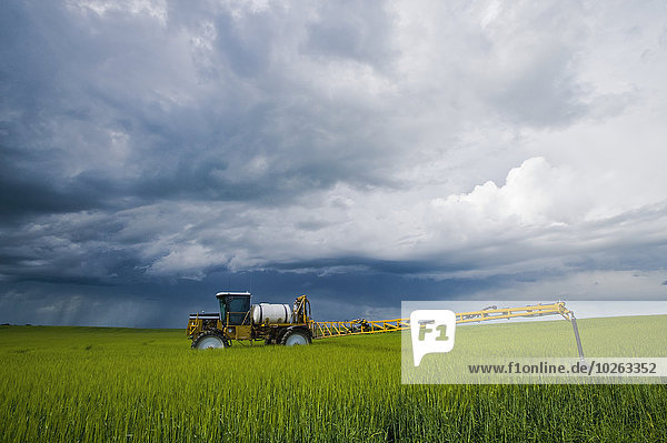A high clearance sprayer that was applying fungicide on barley sits in a field as a storm approaches  near Holland; Manitoba  Canada