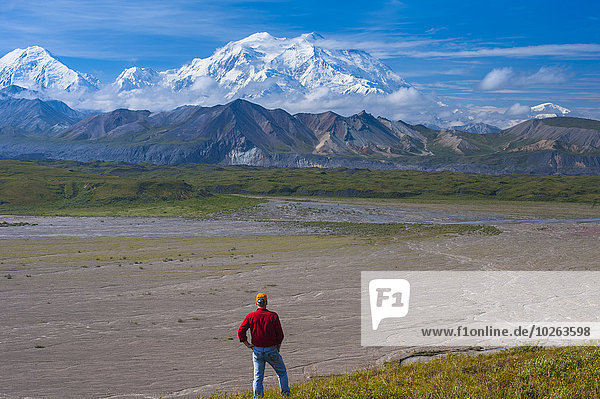 A man views Mt. McKinley from a hillside near the Eielson Visitor Center in Denali National Park  Interior Alaska  Summer