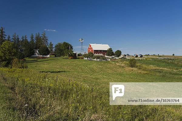 Farm with red barn and windmill  near Edgewood; Iowa  United States of America