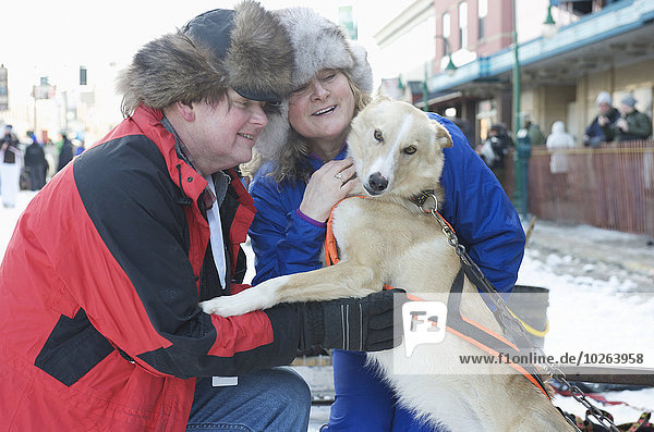 beobachten Hund Besuch Treffen trifft Start Alaska Anchorage Innenstadt