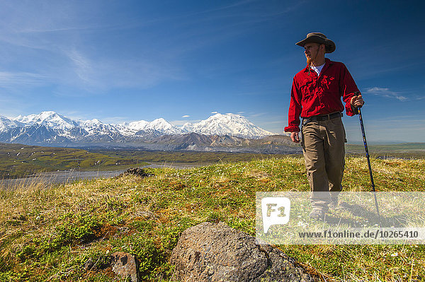 Hiker on a hillside in front of Mt. McKinley and Muldrow Glacier  Denali National Park  Interior Alaska  summer