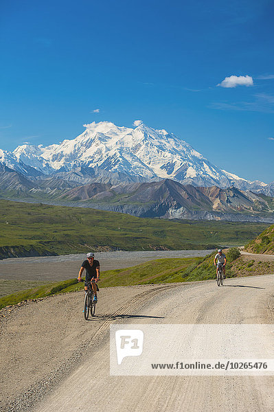 Two men riding bicycles on the park road with Mt. McKinley in the background  Interior Alaska  Summer