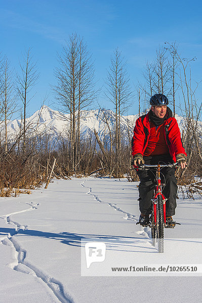 Man bicycling on frozen Rabbit Creek in the Palmer Haystack Game Refuge with Chugach Mountains in the background  Southcentral Alaska  winter