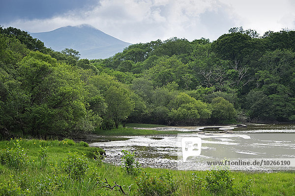 Nationalpark Landschaftlich schön landschaftlich reizvoll Ansicht Kerry County Killarney
