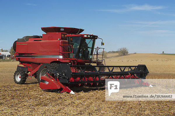 Red combine harvesting beans on a sunny autumn day in Northeast Iowa; Iowa  United States of America