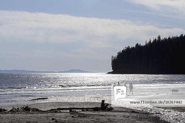 Freundschaft gehen Strand Silhouette Hund Sand British Columbia Treibholz Seetang Vancouver Island