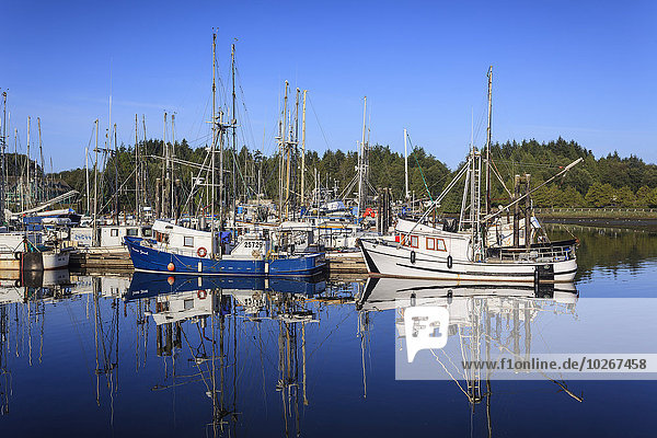Commercial fishing boats in Ucluelet Harbour; Vancouver Island  British Columbia  Canada