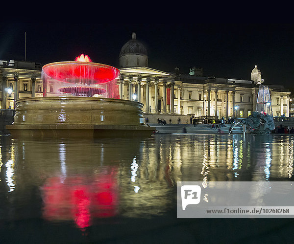 Trafalgar Square at nighttime; London  England