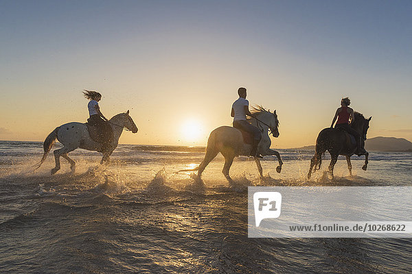 Horseback riding in the shallow water at sunset; Tarifa  Cadiz  Andalusia  Spain
