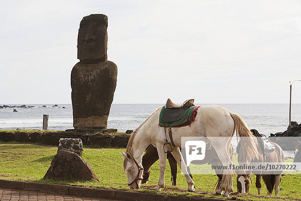 Horses By The Moai Of Ahu Tautira In Hanga Roa  Rapa Nui (Easter Island)  Chile