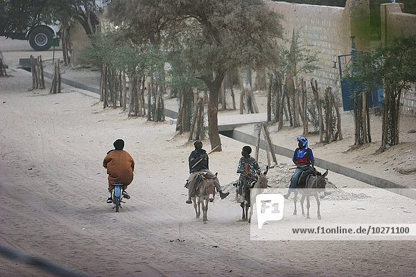 Männer auf Eseln  Timbuktu  Mali