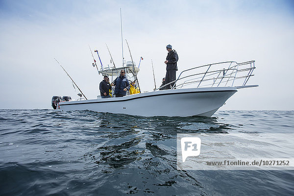Auf der Jagd nach Thunfisch vor der Atlantikküste; Massachusetts  Vereinigte Staaten von Amerika