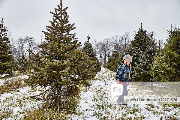 'Young boy walking through Christmas tree farm; Stoney Creek  Ontario  Canada'