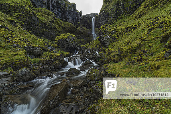 Kleiner Bach  der von einer Klippe in einem Gebiet namens Snaefellsness-Halbinsel fließt; Island .