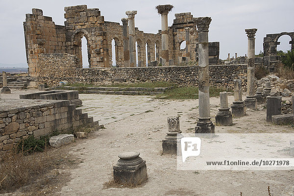 Blick über die Ruinen mit den aus Stein gehauenen römischen Bögen und Säulen; Volubilis  Mauretanien  Marokko