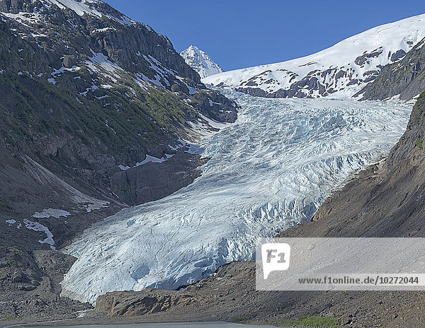 Bärengletscher  in der Nähe von Stewart Glacier; British Columbia  Kanada'.