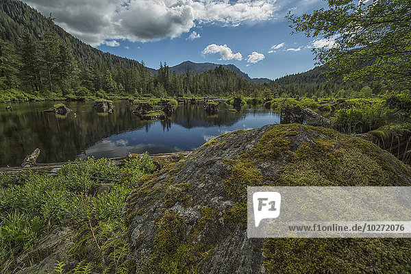 'Unnamed pond outside of Prince Rupert; British Columbia  Canada'