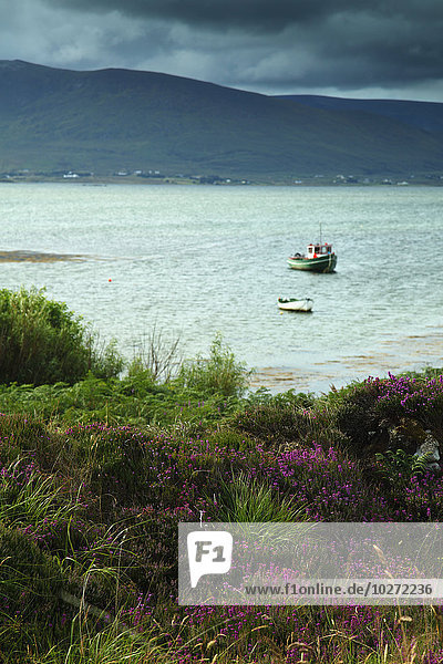 Inishbiggle Island auf dem Wild Atlantic Way; Grafschaft Mayo  Irland