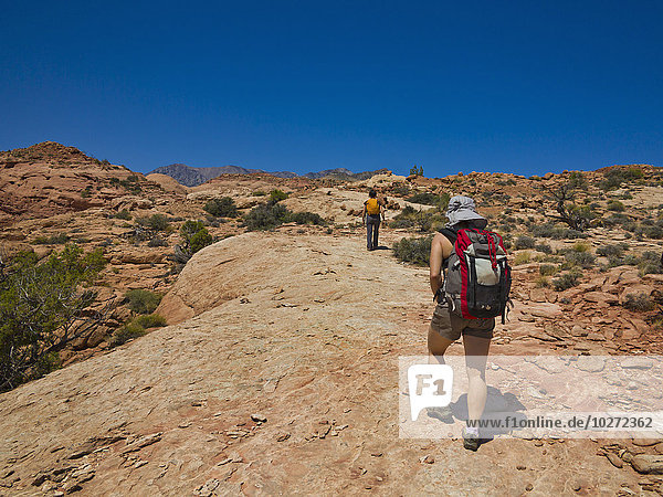 'Adventurers exploring a desert slot canyon; Hanksville  Utah  United States of America'