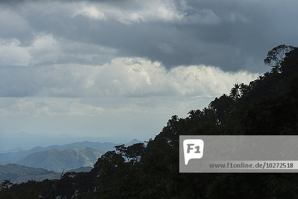 Blick über kleine Hügel in Richtung Blantyre mit der Silhouette des Zomba-Waldes im Vordergrund; Malawi'.