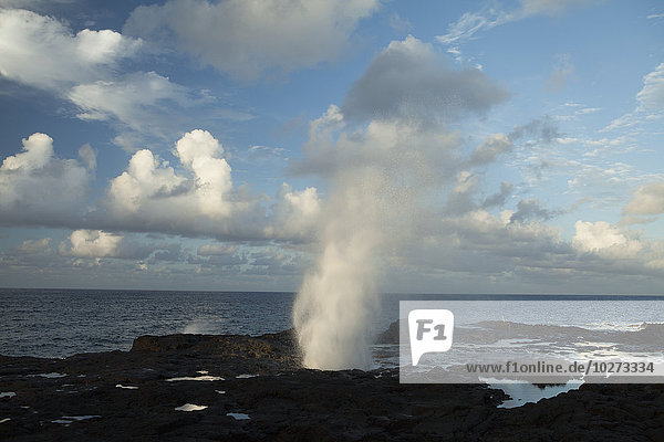 Spouting Horn bei Poipu  ein Blasloch  eine Lavaröhre  die sprudelt  wenn Wellen in die Röhre eindringen; Lawai  Kauai  Hawaii  Vereinigte Staaten von Amerika'