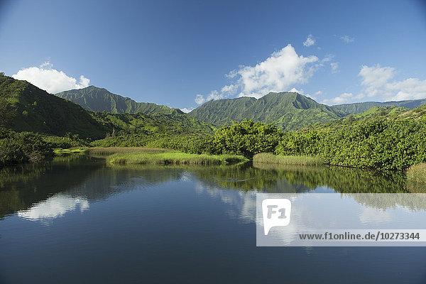 Reflektionen im ruhigen Lumahai-Fluss und -Tal  in der Nähe von Hanalei; Kauai  Hawaii  Vereinigte Staaten von Amerika'.