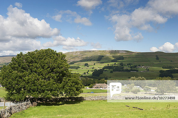 sehen über England North Yorkshire Wensleydale