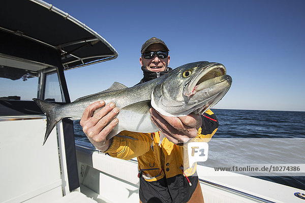 'Fisherman holds fresh catch with pride; Montauk  New York  United States of America'