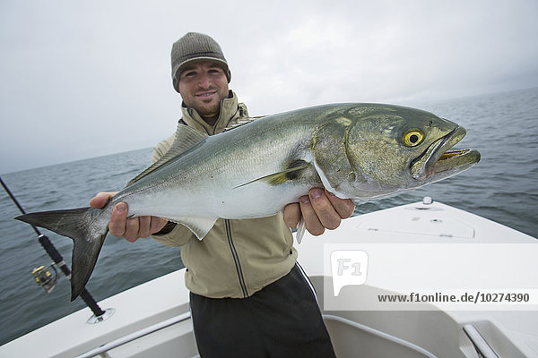 Fischer mit Blaufisch (Pomatomus saltatrix); Cape Cod  Massachusetts  Vereinigte Staaten von Amerika'.