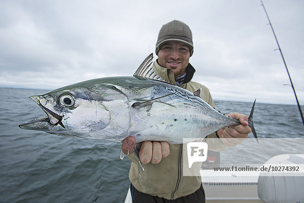 Fischer mit falschem Albacor; Cape Cod  Massachusetts  Vereinigte Staaten von Amerika'.