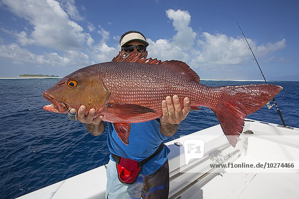'Fisherman holding a fresh caught Red Snapper (Lutjanus); Tahiti'