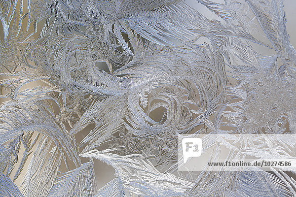 Frost am Fenster; Waterloo  Quebec  Kanada'.