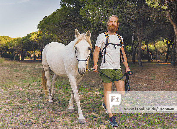 Ein Mann  der mit einem weißen Pferd spazieren geht; Cádiz  Andalusien  Spanien
