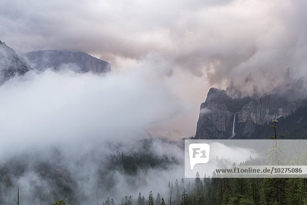 'Winter storm in Yosemite Valley  Yosemite National Park; California  United States of America'