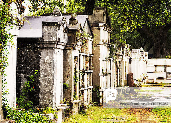 Tombs and mausoleums in old cemetery
