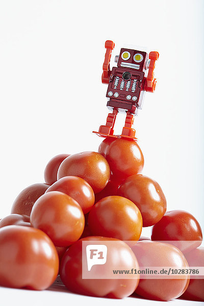 Tomaten und kleiner Roboter  Studioaufnahme