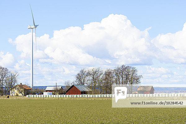 Windturbine Windrad Windräder Gebäude Bauernhof Hof Höfe