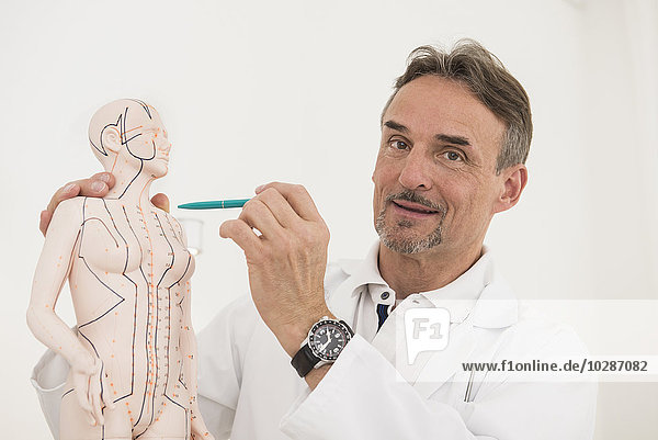 Male doctor holding anatomical model  Munich  Bavaria  Germany