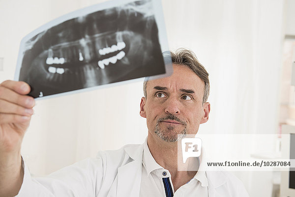 Männlicher Zahnarzt bei der Untersuchung eines Röntgenberichts  München  Bayern  Deutschland