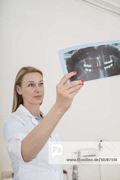 Female dentist examining an X-ray report  Munich  Bavaria  Germany
