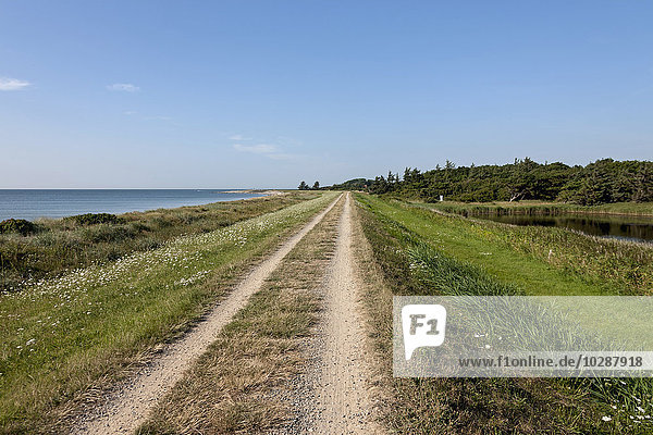 Dirt road passing through landscape at seashore  Schleswig-Holstein  Germany