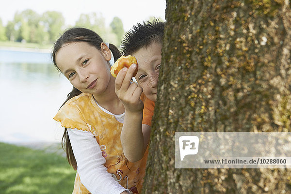 Mädchen lugt mit ihrem Bruder hinter einem Baum hervor und zeigt einen halb gegessenen Apfel  Bayern  Deutschland