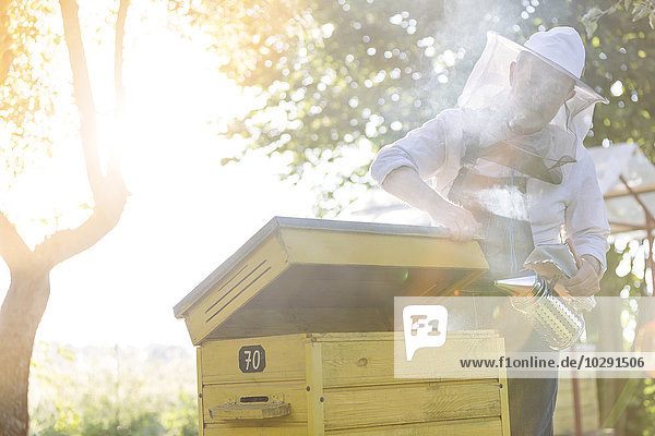 Imker im Schutzanzug mit Raucher am Bienenstock
