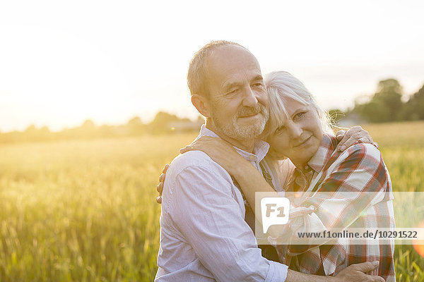 Zärtliches  ruhiges Seniorenpaar im sonnigen ländlichen Weizenfeld